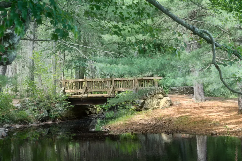 A wooden footbridge over quiet water among green trees at Chatfield.
