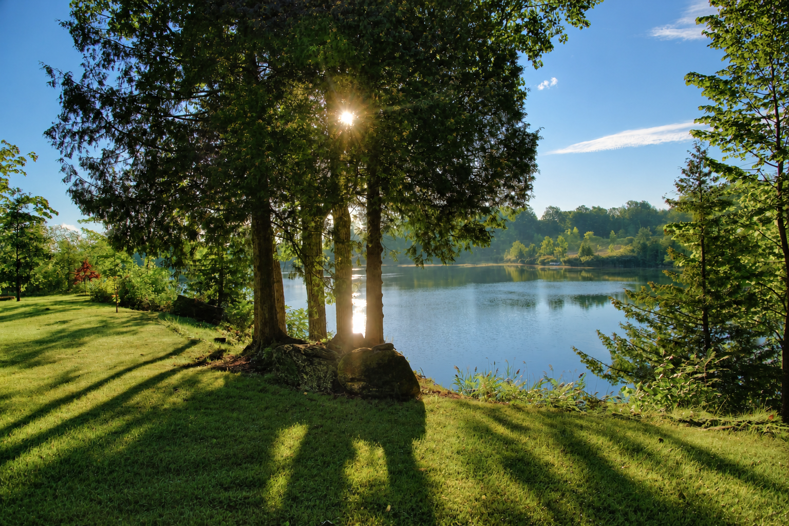 Morning sunlight through trees beside a quiet lake, with long shadows across the grass.
